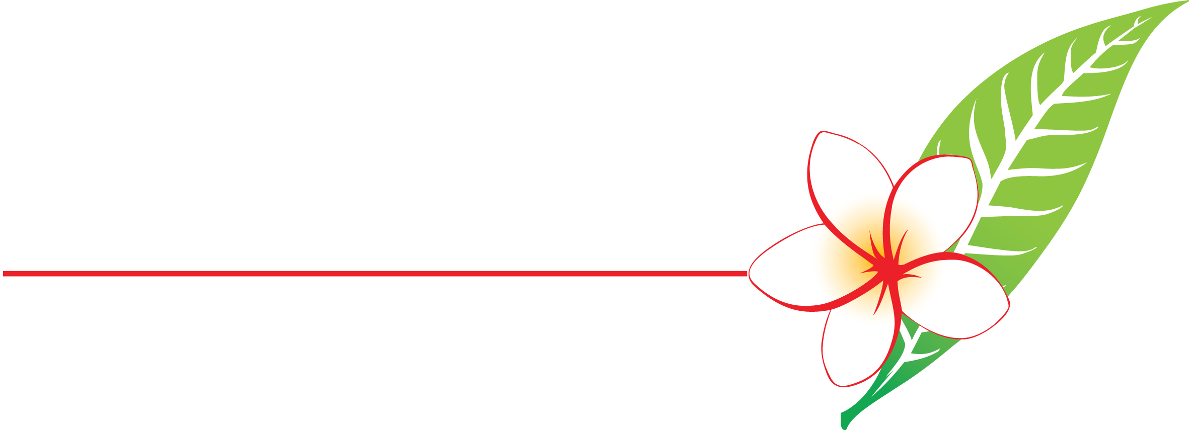 Lao Airlines